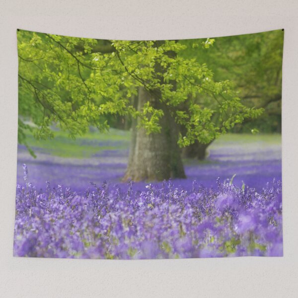 Item preview, Bluebell Wood designed and sold by Terri Waters Photography & Design.
