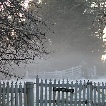 Artwork thumbnail, Winter Gate by Laura K Wright