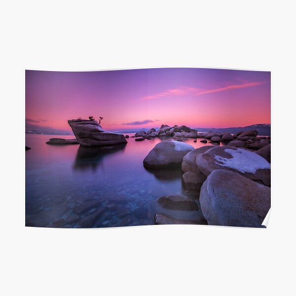 Bonsai Rock Poster