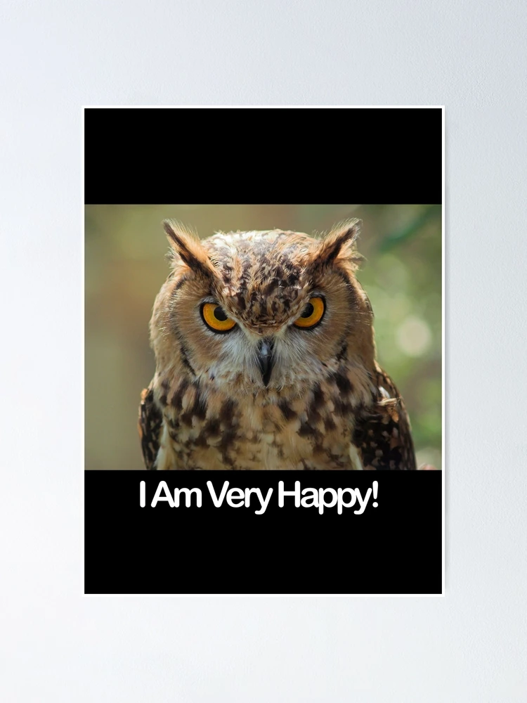 I've Lost The Bathroom Scissors Again - Owlbrows - Funny Owl Greeting Card  for Sale by Thingy72