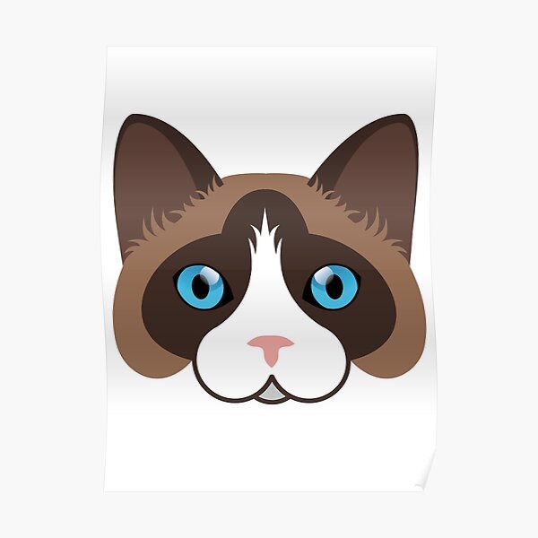 "Snowshoe cat face" Poster by ShirtBricks Redbubble