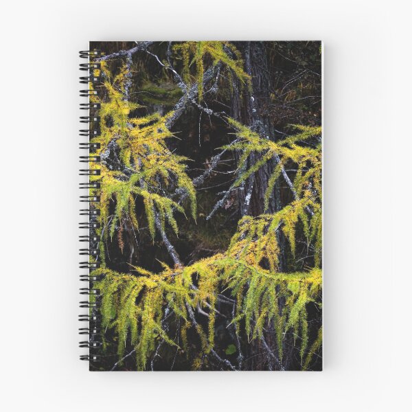 Item preview, Dolomite Larches designed and sold by ccullen222.