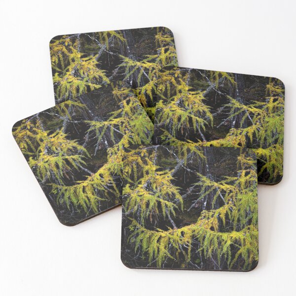 Item preview, Dolomite Larches designed and sold by ccullen222.