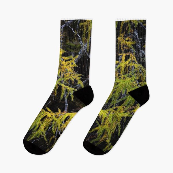 Item preview, Dolomite Larches designed and sold by ccullen222.