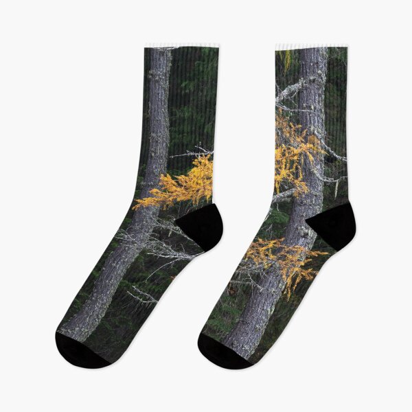 Item preview, Dolomite Larches #2 designed and sold by ccullen222.