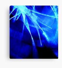 Bluesky Fireworks Canvas Print