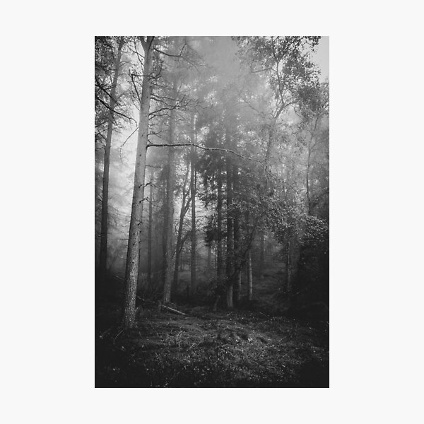Item preview, Misty Woods designed and sold by AstralRosePhotos.