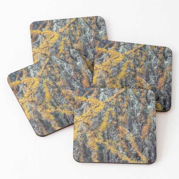 Item preview, Larch & Lichen designed and sold by ccullen222.