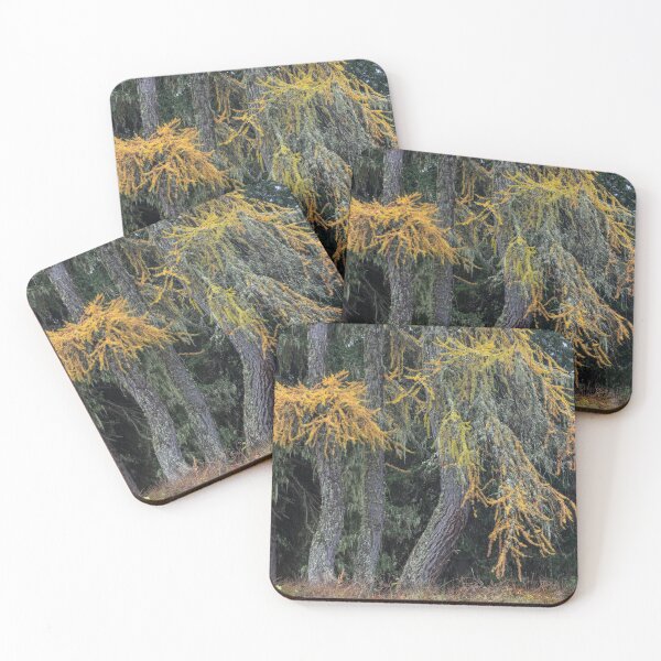 Item preview, Autumn larches (Misurina) designed and sold by ccullen222.