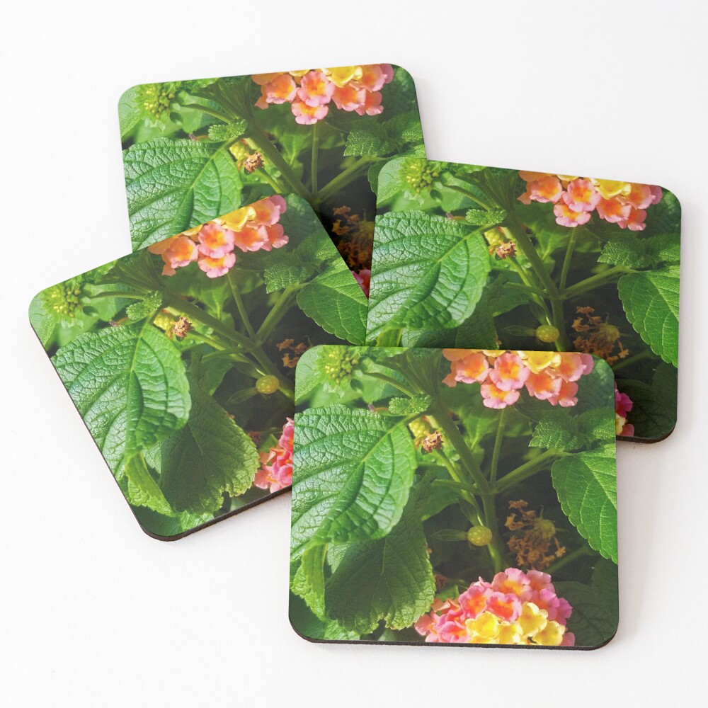Item preview, Coasters (Set of 4) designed and sold by Racsontos.