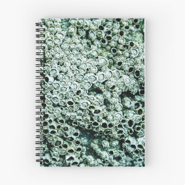 Item preview, Trypophobia designed and sold by stitchling.