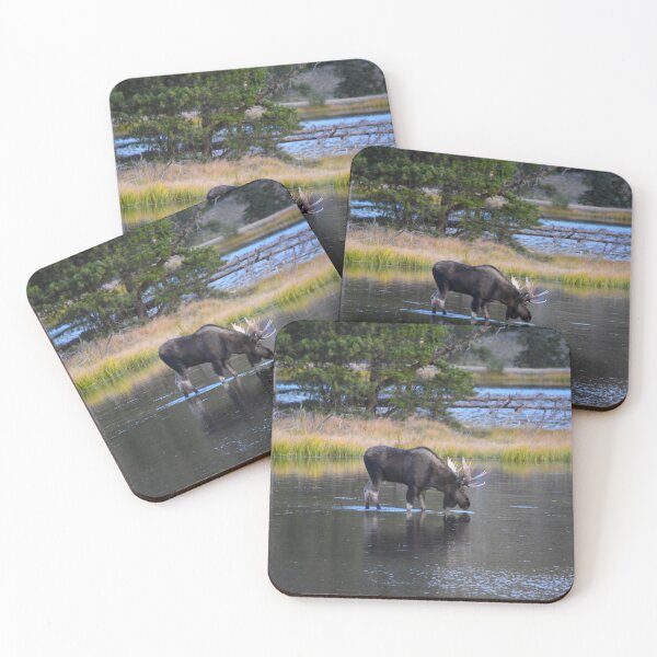 Item preview, Bull Moose, Sprague Lake, Rocky Mountain National Park, Colorado designed and sold by Catherine Sherman.