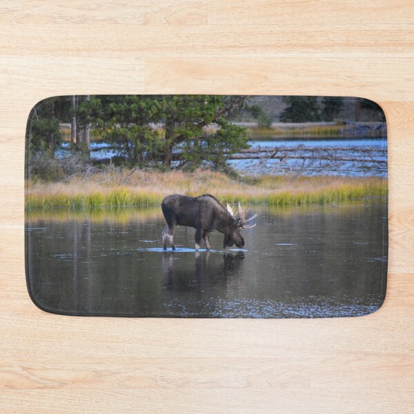 Item preview, Bull Moose, Sprague Lake, Parque Nacional de las Montañas Rocosas, Colorado designed and sold by Catherine Sherman.