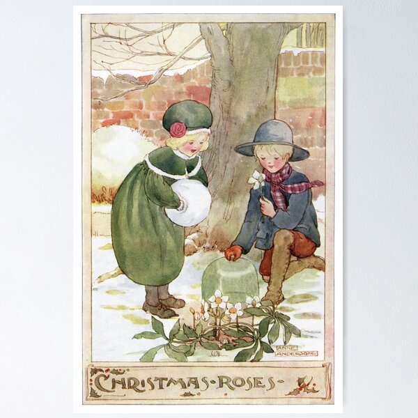 Item preview, Christmas Roses by Anne Anderson designed and sold by vintage-art.