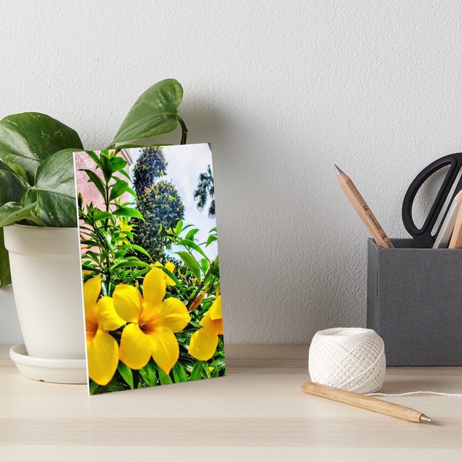 Item preview, Art Board Print designed and sold by Racsontos.