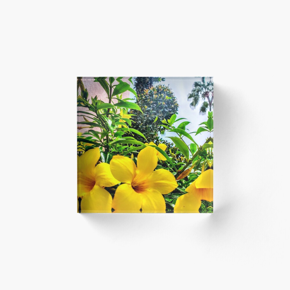 Item preview, Acrylic Block designed and sold by Racsontos.