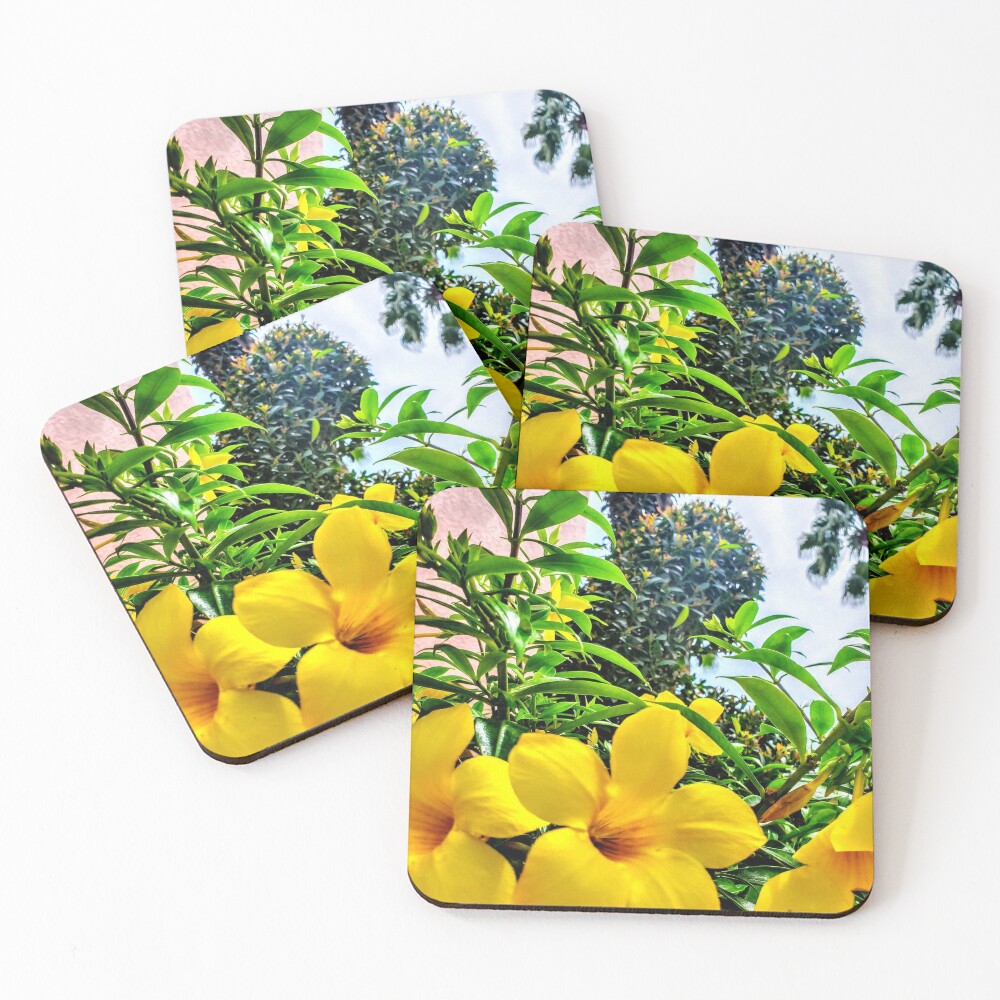 Item preview, Coasters (Set of 4) designed and sold by Racsontos.