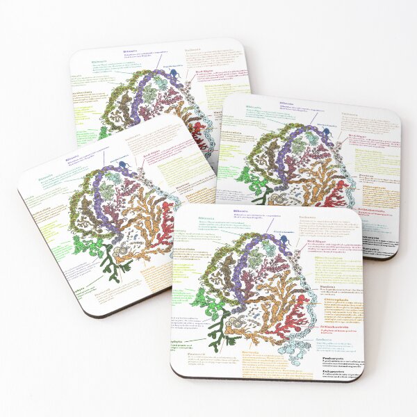 Item preview, Root of the Tree of Life - Annotated - Evolution designed and sold by EvolutionPoster.