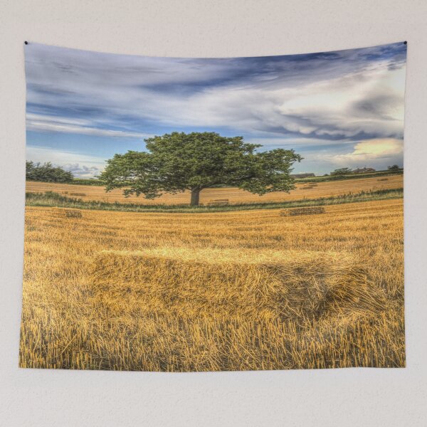 Item preview, The solitary farm Tree designed and sold by Londonimages.