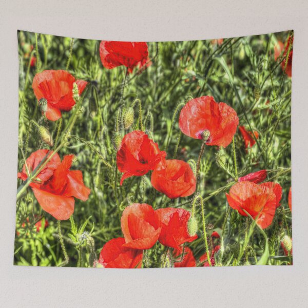 Item preview, Poppy's Of Summer designed and sold by Londonimages.