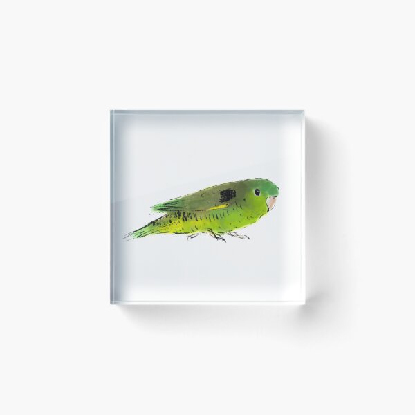 Item preview, perico barreteado designed and sold by lobitos.
