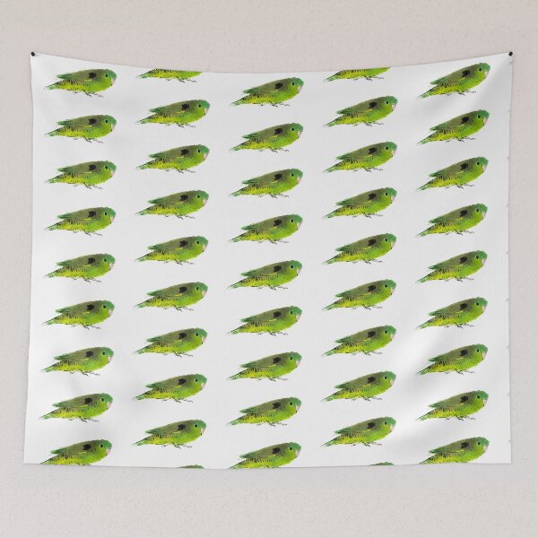 Item preview, perico barreteado designed and sold by lobitos.