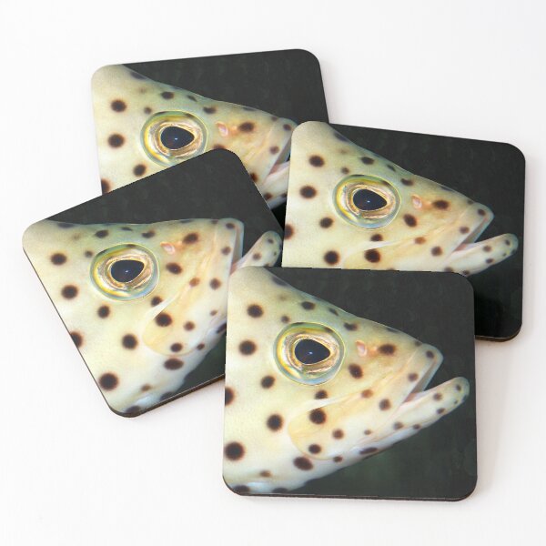 Item preview, Fish Portrait - Wilf designed and sold by WaterGardens.