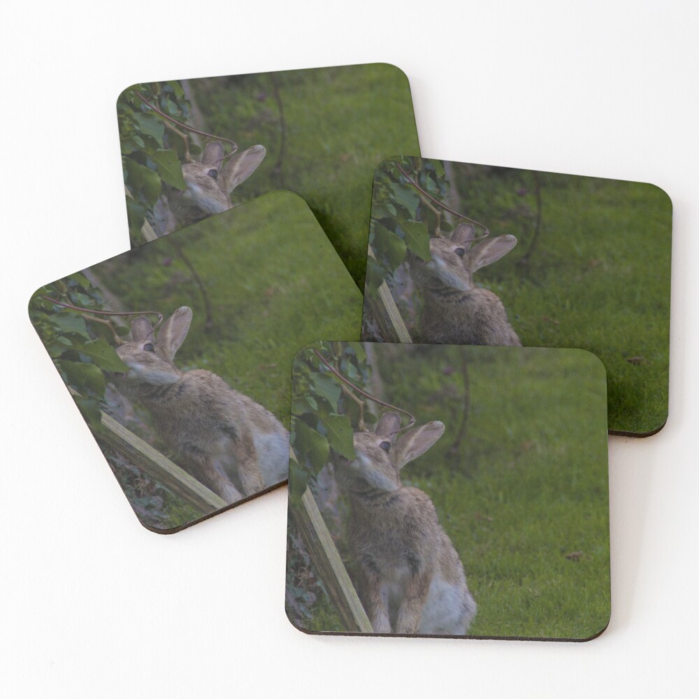 Item preview, Coasters (Set of 4) designed and sold by JoshuaSpurrier.