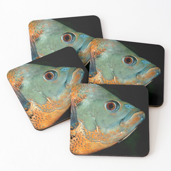 Item preview, Fish Portrait - Edna designed and sold by WaterGardens.