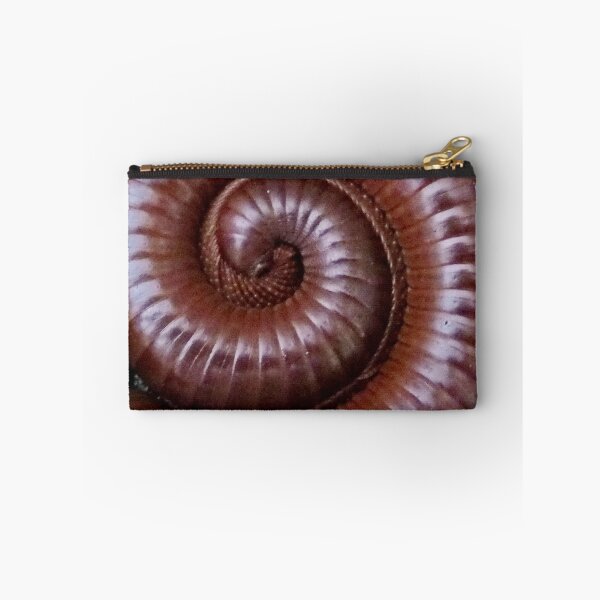 Item preview, A Curled Giant African Train Millipede designed and sold by AnnDixon.