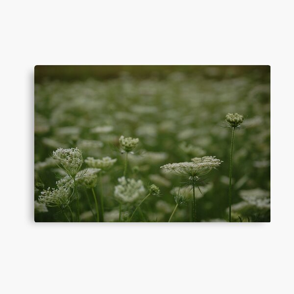 Item preview, Summer Snow designed and sold by back40fotos.
