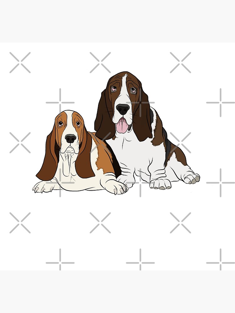 two basset hounds