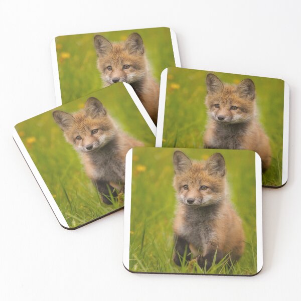 Item preview, Red Fox Kit designed and sold by Gerard Fornarotto.