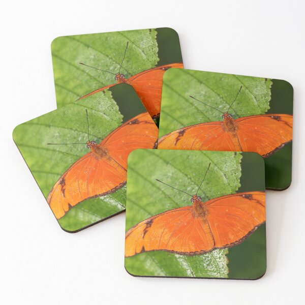 Item preview, Longwing flame butterfly designed and sold by GreyFeatherPhot.