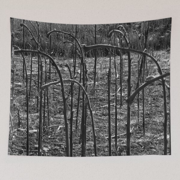 Item preview, Sunflower Stalks  designed and sold by Ethna Gillespie.