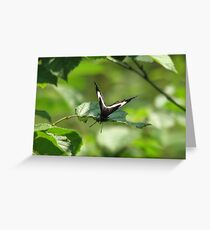 Lunch Time Greeting Card