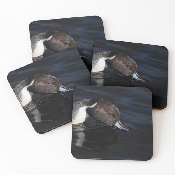 Item preview, Male Northern Pintail designed and sold by Karol Livote.