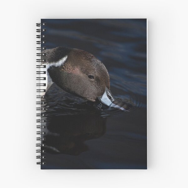 Item preview, Male Northern Pintail designed and sold by Karol Livote.