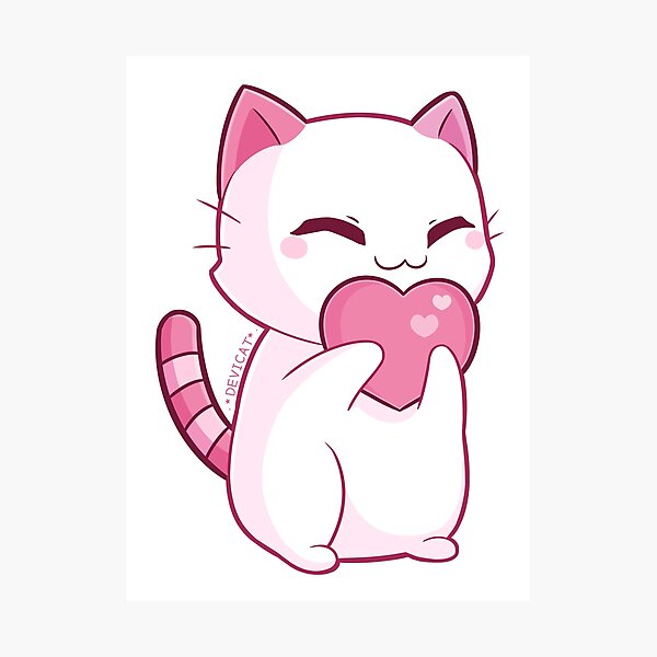 Valentine Cat - 2020 Photographic Print