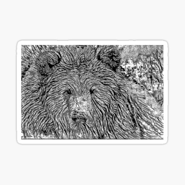 Bear B &W Sticker