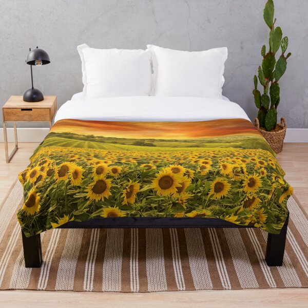 Artikelvorschau, Roter Sonnenuntergang über Sonnenblumen und Sonnenblumenfeldern der Toskana, Italien entworfen und verkauft von Jéanpaul  Ferro.