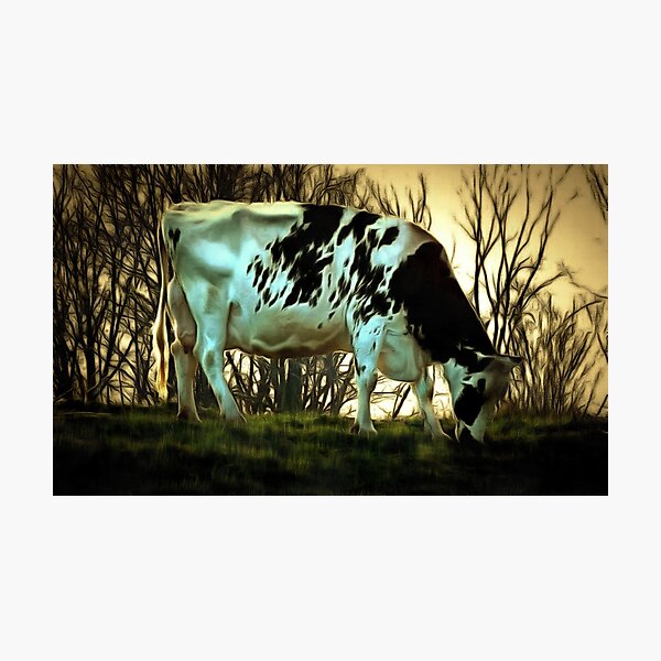 Item preview, The End of the Day - Holstein Dairy Cow designed and sold by JanineRileyArt.
