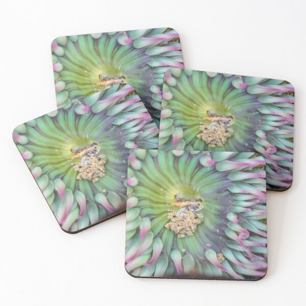 Item preview, Anemone designed and sold by annielu13.