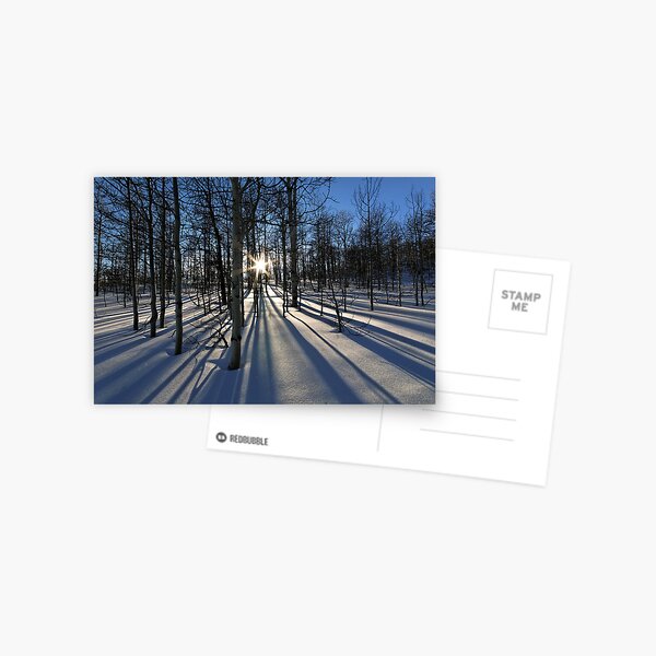 Item preview, Wintery Lines designed and sold by Robert Mullner.