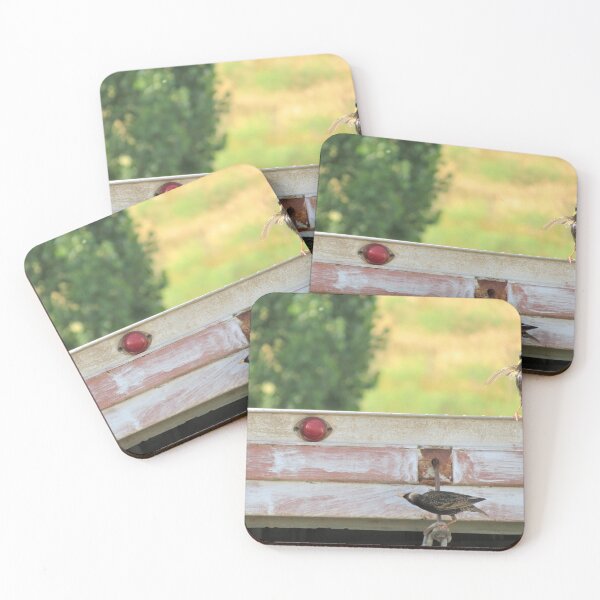 Item preview, Starlings designed and sold by Diane Arndt.
