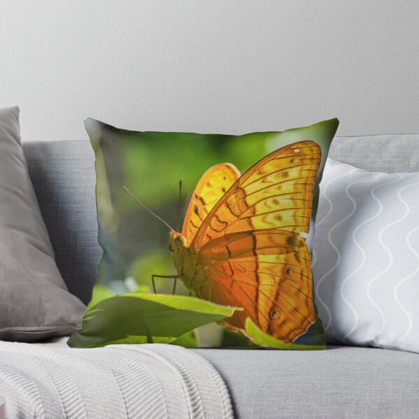 Item preview, Orange Butterfly designed and sold by Jola Martysz.