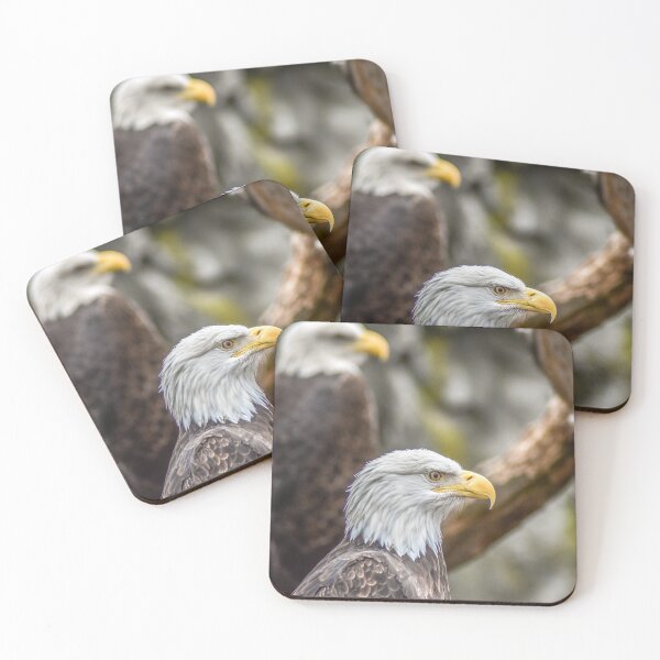 Item preview, Bald Eagle designed and sold by JacobPMcE.