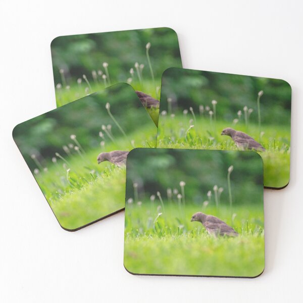 Item preview, Baby bird in grass designed and sold by JacobPMcE.