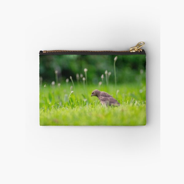 Item preview, Baby bird in grass designed and sold by JacobPMcE.