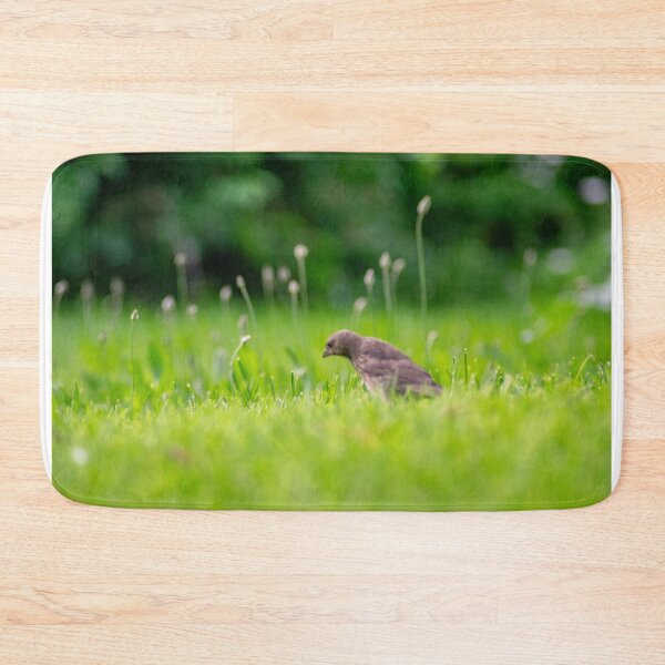 Item preview, Baby bird in grass designed and sold by JacobPMcE.